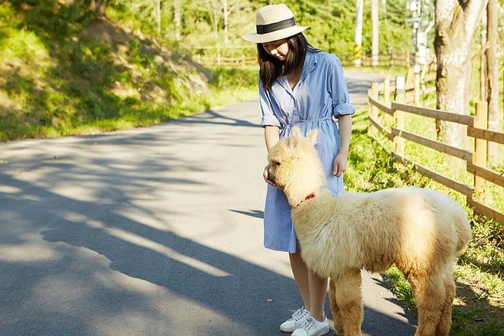 Autumn 10 days Jeonju&Mt.Naejangsan&Mt.Seorak&Mungyeong&Jeju&Busan on Early Nov