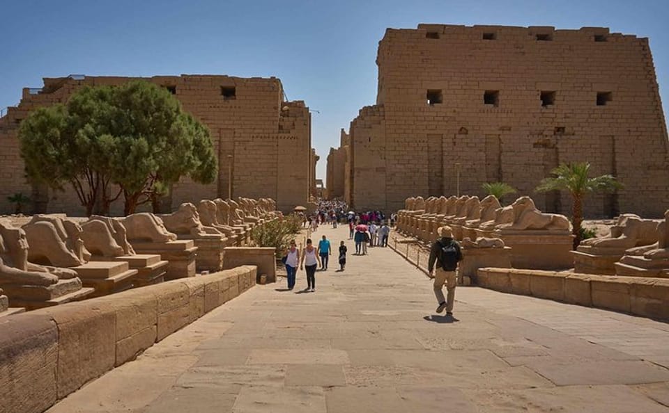 Day Trip to Luxor from Hurghada with Guided Tours