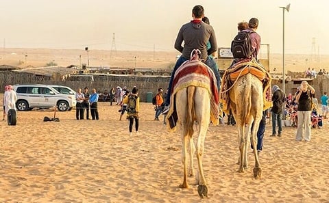 Morning Desert Safari with 200cc Polaris Ride in Dubai