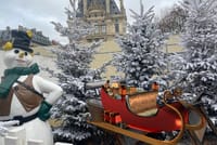 Outdoor activity in Paris