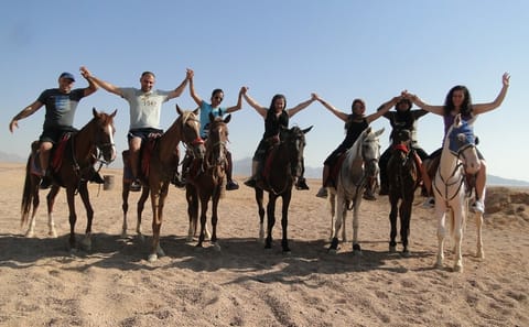 Horse Riding Adventure in Sharm El Sheikh, Egypt