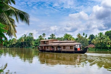 Cochin Shore Excursion: Culture, Cuisine, and Coast Tour