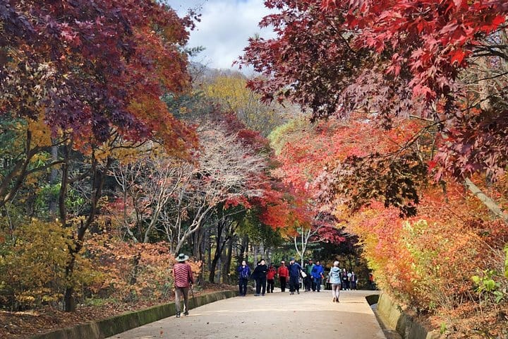 Autumn 10 days Jeonju&Mt.Naejangsan&Mt.Seorak&Mungyeong&Jeju&Busan on Early Nov