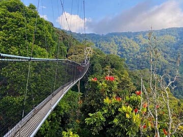 6-Day Gorilla and Chimpanzee Safari in Rwanda