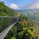 Nyungwe forest national park