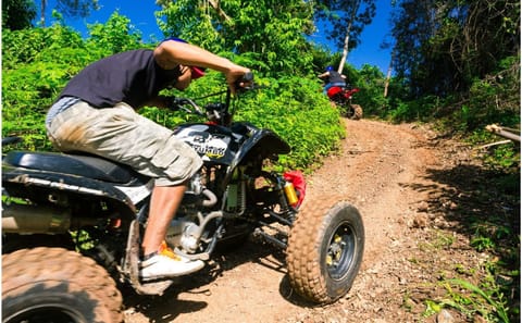 ATV Jungle Adventure Tour in Dixon Cove, Honduras