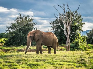6 Days – Lake Manyara, Serengeti, Ngorongoro & Tarangire Safari