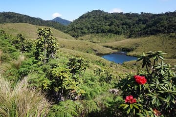 All-Inclusive 3-Day Nature Tour of Kandy and Nuwara Eliya