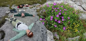 Stones & Stories walk in the Burren, Clare. Private guided. 2 hours