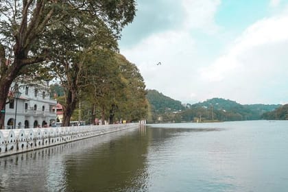 Kandy Private Day Tour from Colombo/Negombo
