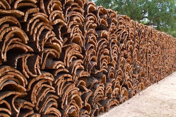 Cork Production and Castle Tour in Évora and Evoramonte