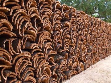 Cork Production and Castle Tour in Évora and Evoramonte