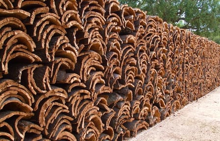 Évora: Cork and Castle: Private walking tour with driver