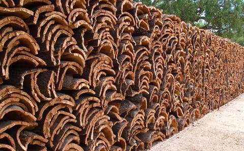 Cork Production and Castle Tour in Évora and Evoramonte