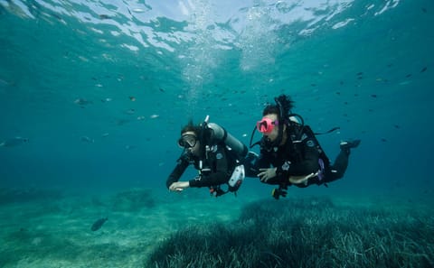 Scuba Diving Experience in Agia Efimia, Greece