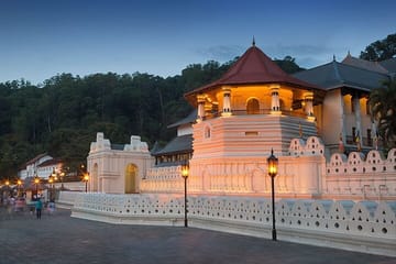 Sri Lanka Tour with Ceylon Travel Dream