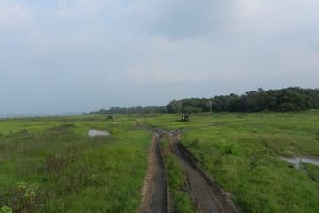 Kaudulla National Park Safari from Sigiriya