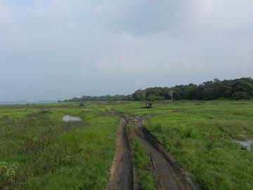 Kaudulla National Park Safari Experience from Sigiriya