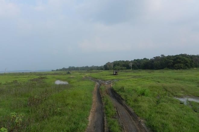Kaudulla National Park Safari from Sigiriya 3