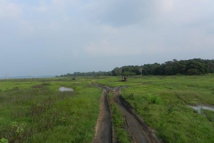 Kaudulla National Park Safari from Sigiriya 3