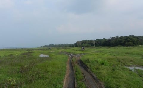 Kaudulla National Park Safari Experience from Sigiriya