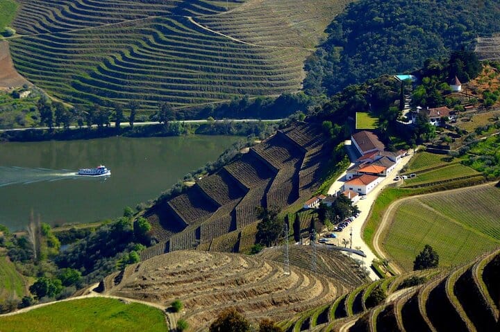 Douro Tour, Lunch at an Award-Winning Winery and Private Cruise