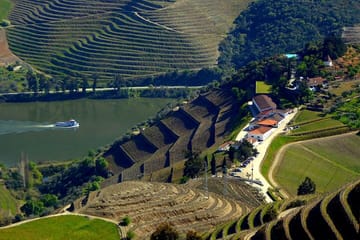 Douro Tour, Lunch at an Award-Winning Winery and Private Cruise