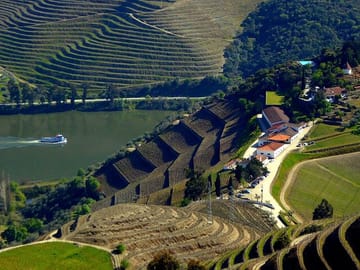 Douro Valley Tour with Winery Lunch and Private River Cruise