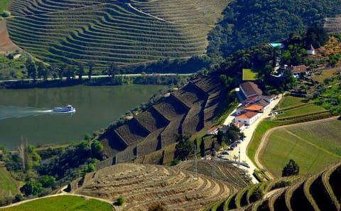 Douro Valley Tour with Winery Lunch and Private River Cruise