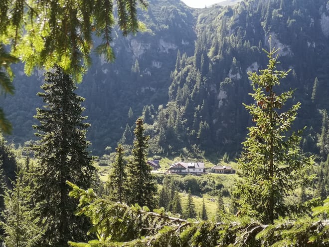 PRIVATE, EASY Day Hike in Carpathian Mountains 9