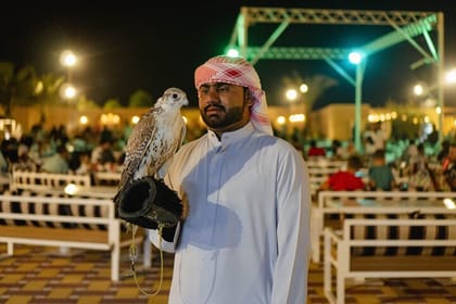 Dubai Private Red Dune Buggy Safari with BBQ Dinner in VIP Camp