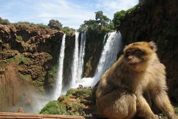 Hiking and Photography Day Trip to Ouzoud Waterfalls from Marrakech