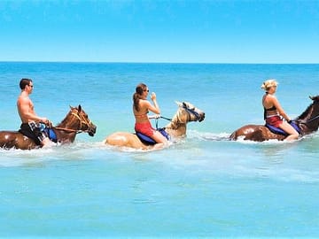 Horseback Riding & swim in the ocean