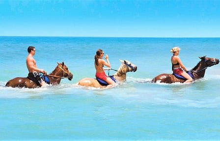 Horseback Riding and River Rapids Adventure in Duncans, Jamaica