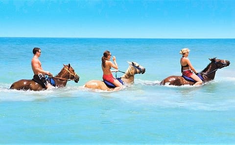 Horseback Riding and River Rapids Adventure in Duncans, Jamaica