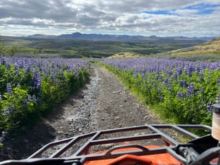 Superview - ATV Reykjavik Adventures, photo 19