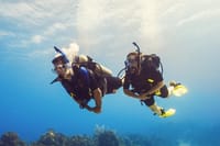 Diving And Snorkeling To Ras Mohamed And White Island By VIP Boat 7