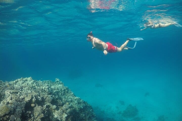 sharm el sheikh safari trip