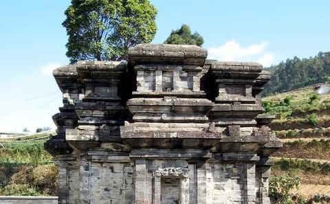 Dieng Plateau Sunrise and Borobudur Temple Tour
