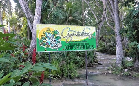 Blue Hole, Secret Falls, and Dunns River Tour from Runaway Bay