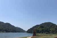Private Day Tour to Shimen National Park from Guangzhou + Seasonal Fruit Pickup 3