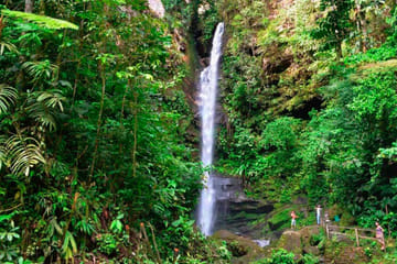 Ahuashiyacu Waterfalls Tour in Tarapoto, Peru