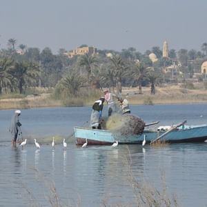 Private Day Tour to Fayoum and Wadi El Rayan from Cairo