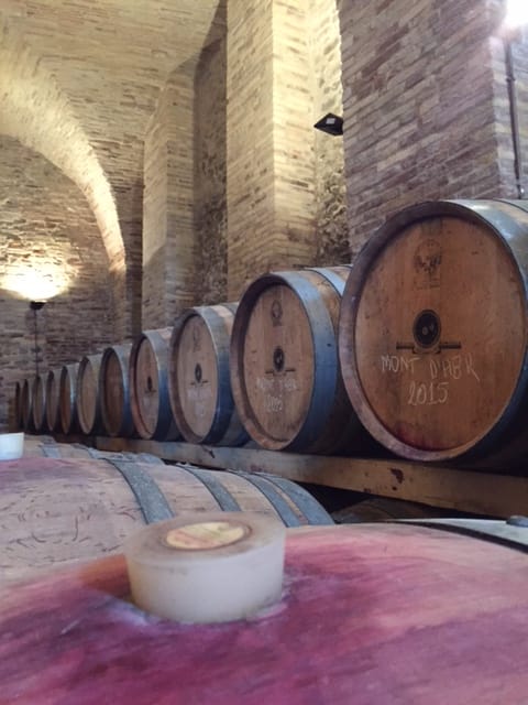 The barrels wine
