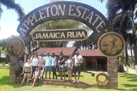 Private Appleton Estate Rum and Pelican Bar Tour from Montego Bay 2