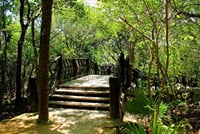 Tulum Mayan Ruins Express 4