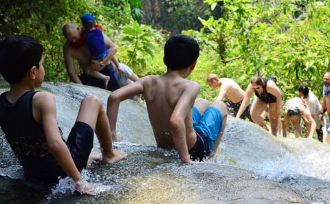 Chiang Mai Day Trip to Temples and Sticky Waterfall