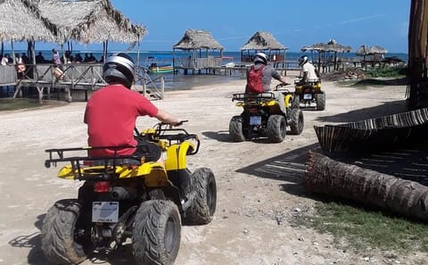 ATV Wildlife Adventure in Coxen Hole, Roatan