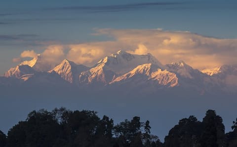7-Day Eastern Himalaya Tour from Bagdogra to Darjeeling and Gangtok