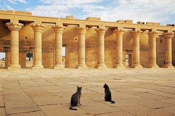 Private Cultural Tour of Abu Simbel from Aswan